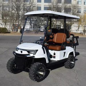 Factory Price Export Quality Powerful Reliable Professional Sturdy Electric Golf Cart