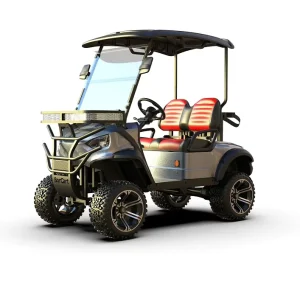 Factory Price Grey Color 2 Seater Small Electric Golf Cart With Golf Bag Holder