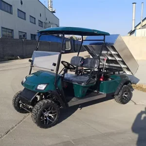 Factory Price Import Utility 48 Volt Golf Cart 5-6 Seats Zone Electric Golf Cart Buggy with Aluminum Cargo Box