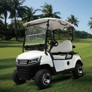 Factory Price Luxury Street Legal Vintage 2 Seater 40V Lithium Battery CE/Eec Certified 70-90km Range Golf Cart