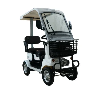 Factory Sale Electric Golf Cart 2 Seat Electric Mobility Scooter User-friendly Elderly People Community Mobility