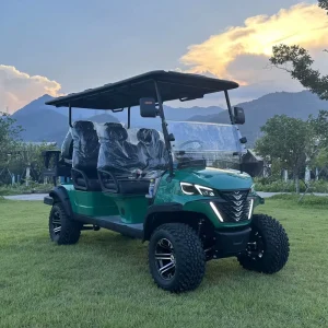 Factory Supply 6 Seats Golf Cart New Energy Lithium Battery Luxury Golf Cart Club Golfiing Fun in Stock
