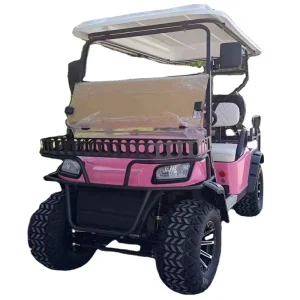 Factory Supply Unique Design 4 Wheels Electric Golf Cart Golf Buggy and Parts