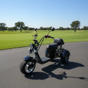 Factory Trendy and Safe 4000w Recreational Electric Tricycle Electric Bike