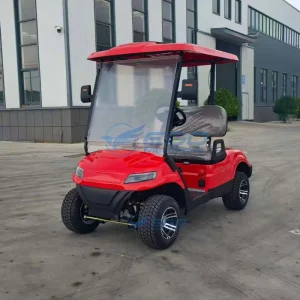 Family friendly Electric Golf Cart 2 Seat Red Sightseeing Golf Car Off Road