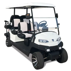 Farm Utility Lead acid Golf Cart 5-6 Seater 5kW Lithium Battery Buggy Golf Car
