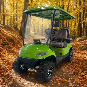 Fast Charging Low Energy Consumption Four Person Holiday Village Staff Shuttle Electric Buggy Golf Cart