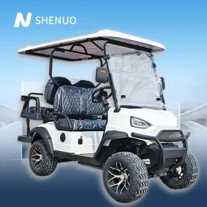 Fast Golf Carts, Ev Golf Cart and 4 Person Golf Cart for Resort Hotel