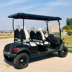 Fast Shipping Golf Cart Four Seats 4 6 8 10 Passenger Street Legal Electric Customized Golf Carts With Lithium Batteries
