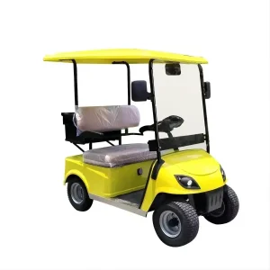 Faster Electric Golf Cart 2 Seater CE Certified Lithium Battery 30-50Km/h 90km Range New Model Golf Cart