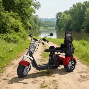Fat Tire Electric Three-Wheel Golf Scooter with GPS Foldable Waterproof 2000W/3000W Motor Lithium Battery Bag Holder