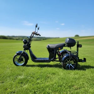 Flexible 4000W Dual Strong Motor 3 Wheel Electric Scooter Electric Tricycle Citycoco