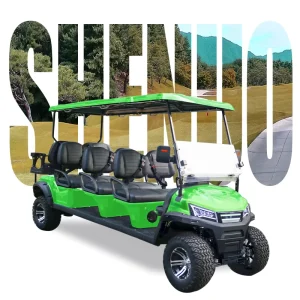 Forward Facing 10 8 Seater Gasoline 4 Stroke Golf Cart with 72V and 48V Batteries G Wagons for Adults