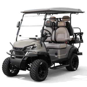 Four Electric Vehicles 2+2 Golf Cart Street Legal Lithium Powered Golf Cart 4 Seater Passenger Whanlong Electric Golf Carts