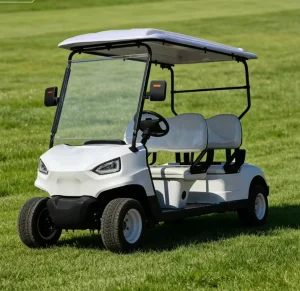 Four-seater Golf Carts Available in Custom Colors Off-road Models Ideal for Family Outings and Sightseeing
