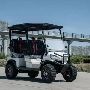 Four wheel Drive Electric Car Golf Cart Lithium Batteries Off Road Golf Cart Electric Mini Golf Cart with Folding Seats