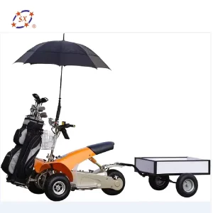 Fourstar Single Seat Electric Golf Carts