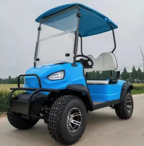 Gasoline 4 Stroke 300cc Passenger Golf Cart with 1-2 Seats 90-120km Range for Commercial Use