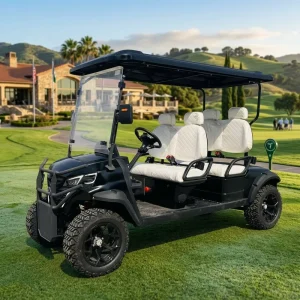Gasoline Golf Cart 300CC 4 Stroke Water Cooled Engine 45km/h MacPherson Suspension Dual Circuit Brake OEM Petrol Golf Car