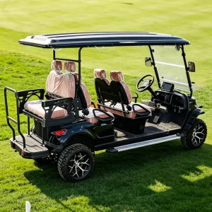 Genuine Car Golf Cart Golf Cart Jeep All Terrain Safe Brake