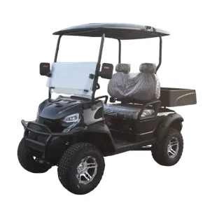 Golf Buggy Manufacturer Electric Golf Cart 2 Seater for Adults