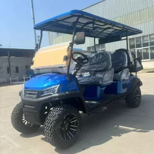 Golf Car Electric Golf Cart with MSDS CE Certificated