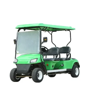 Golf Cart 2 4 6 8 Seater 48V Brand New Electric Golf Cart for Sale