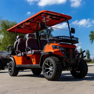 Golf Cart 2 4 6 8 Seater High Performance Manufacturer Electric