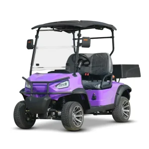 Golf Cart 2 Searter Electric Golf Cart Chinese 2 Passenger Mini Golf Cart