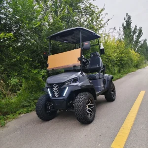 Golf Cart 2 Seater 72 Volt Battery Electric 5KW Dot Certified Club Car Electric Golf Cart