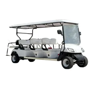 Golf Cart 2 Seater Electric Lithium Motorized Golf Cart