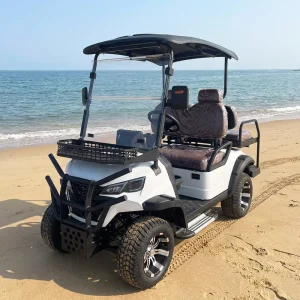 Golf Cart 2 Seater Electric Pickup Farm UTV Electric Cart Utility Mobility Scooter Sightseeing Car Side by Side Adults