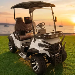 Golf Cart 2 Seater Electric Pickup Farm UTV Electric Cart Utility Mobility Scooter Sightseeing Car Side by Side Adults