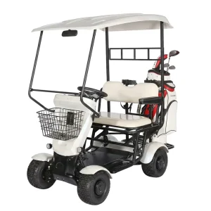 Golf Cart 2 Seater Off road Golf Cart Electric Utility Vehicle Club Car Golf