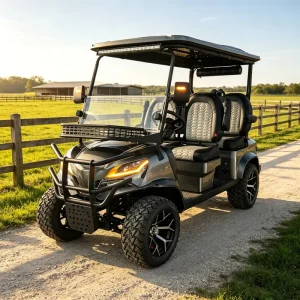 Golf Cart 4 Seater 72V Lithium DOT Certified Customizable Body Color Rear Box Golf Buggy Extra Storage US
