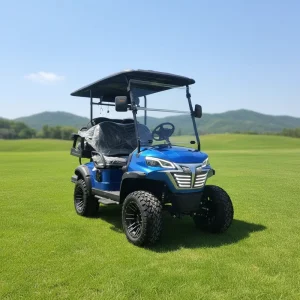 Golf Cart 4 Seater Electric Customized 48 Volt Golf Cart High Configured Street Legal for Playing Golf