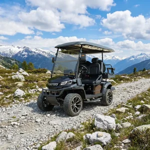 Golf Cart 4 Seater Lithium Battery Street Legal LSV CE DOT Certified for Sightseeing and Golf Course