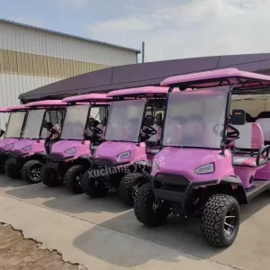 Golf Cart 4 Seater Off road Electric Golf Cart