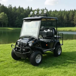 Golf Cart