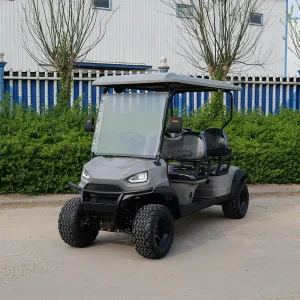 Golf Cart 5 Kw Motor 14 Inches Off Road Tires 2 Seat 48v Golf Buggy Electric Cart with Back Bucket
