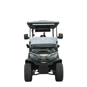 Golf Cart 6 Seater Golf Cart for Sale Powerful Motor 72V Lithium Battery Electric Custom Made 220V