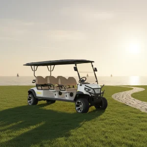 Golf Cart 7.5 Kw Motor 14 Inches Off Road Tires 6 Seat 72v Golf Buggy Electric Cart with Back Bucket