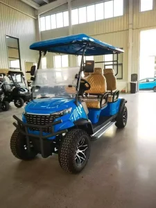 Golf Cart All Terrain Golf Buggy Customizable Specification Universal Electric