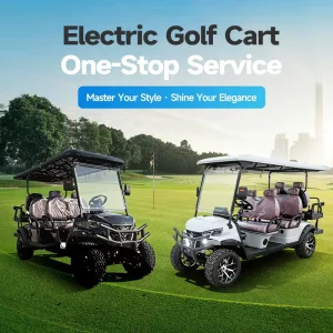 Golf Cart Battery All Wheel Drive Electric Golf Cart Factory Sales Quality Assurance