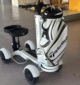 Golf Cart Buggy Custom Electric Leisure Sightseeing Golf Cart on Sale