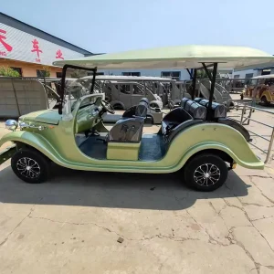 Golf Cart Car Golf Carts Electric Factory Direct Sale