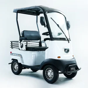 Golf Cart Classic Car and Golf Cart Buggy With Basket for Golf Courses