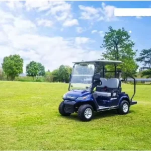 Golf Cart Club 2 Passenger Electric Buggy CE Certified 70 90km Range