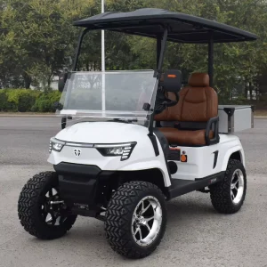 Golf Cart Electric 2 Seater Chinese Electric Golf Carts for Sale Passenger Golf Carts