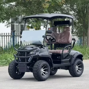 Golf Cart Electric 2 Seater Price Chinese Gas Golf Carts for Sale 2 Passenger Golf Carts